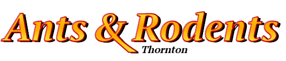 Thornton Ant Exterminator & Rodent Control Company Logo
